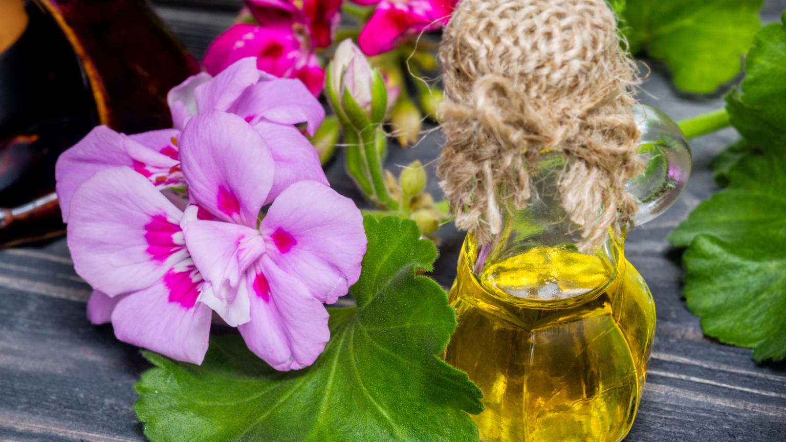 Serene Geranium Oil For Hair Landscape for Your Screen Serene Geranium Oil For Hair Landscape for Your Screen